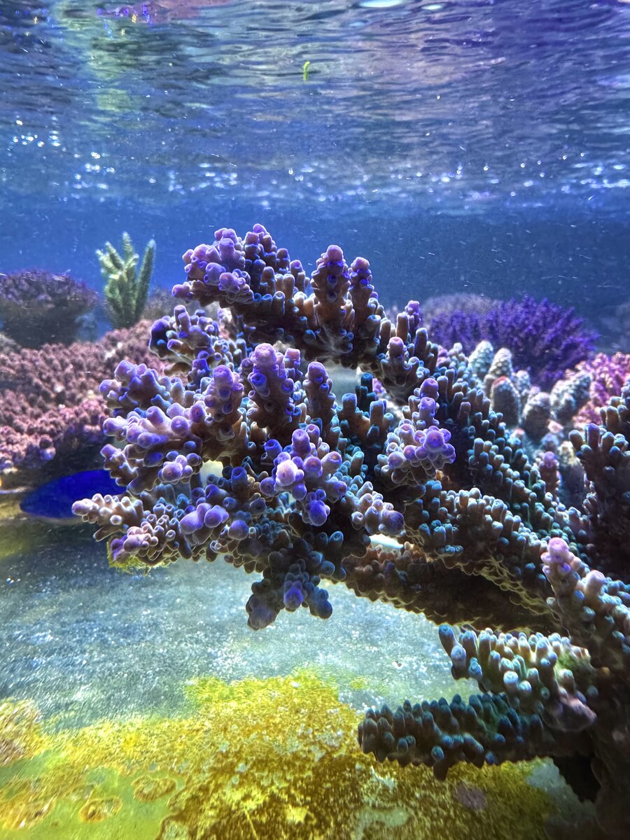 IMG_9066.jpeg