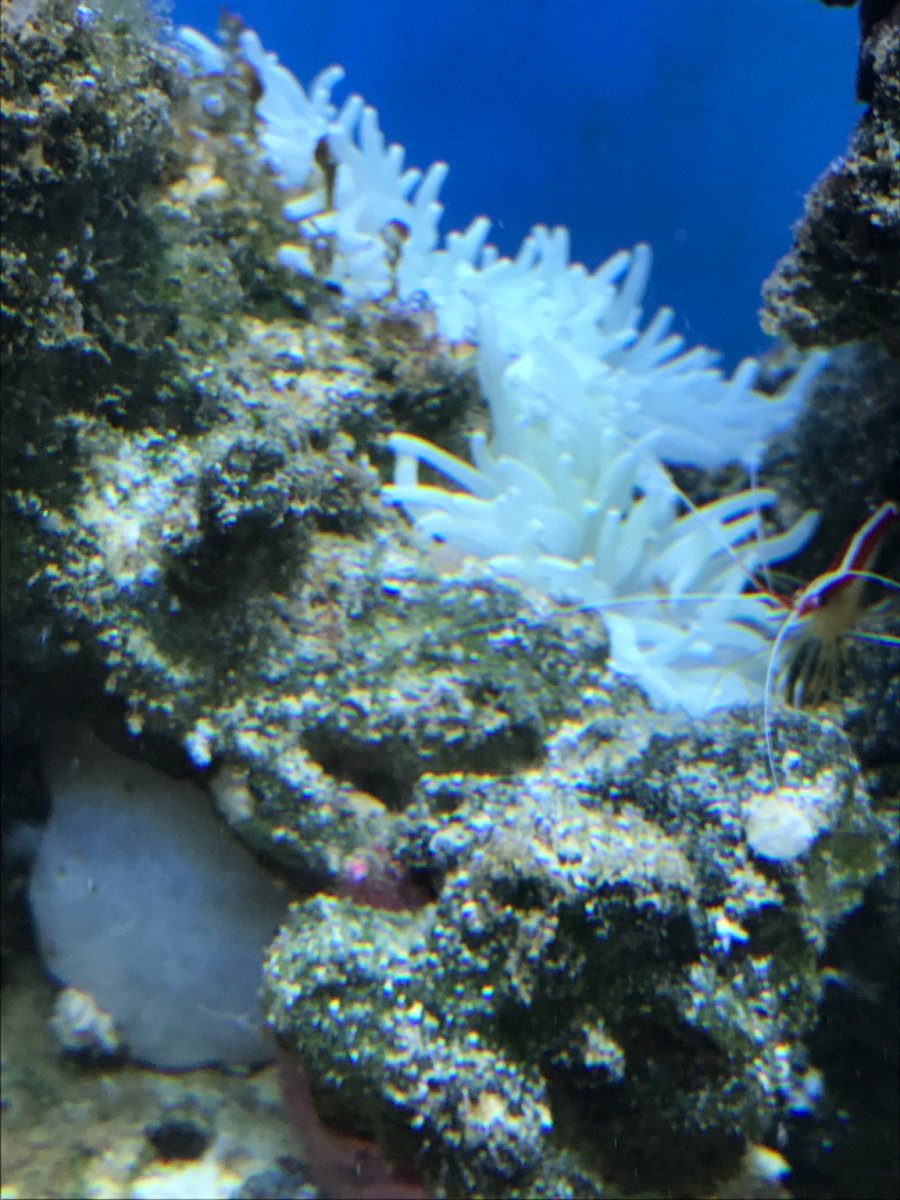 IMG_9072.JPG
