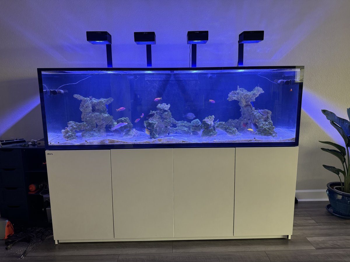 Hello - My new Red Sea Reefer Max S-1000 G2+ | Reef2Reef