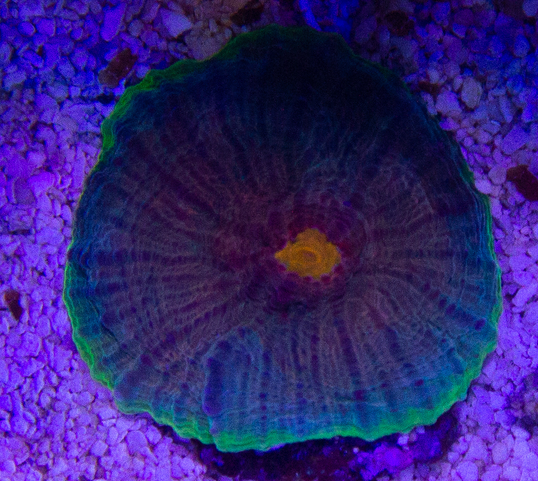 IMG_9089.jpg