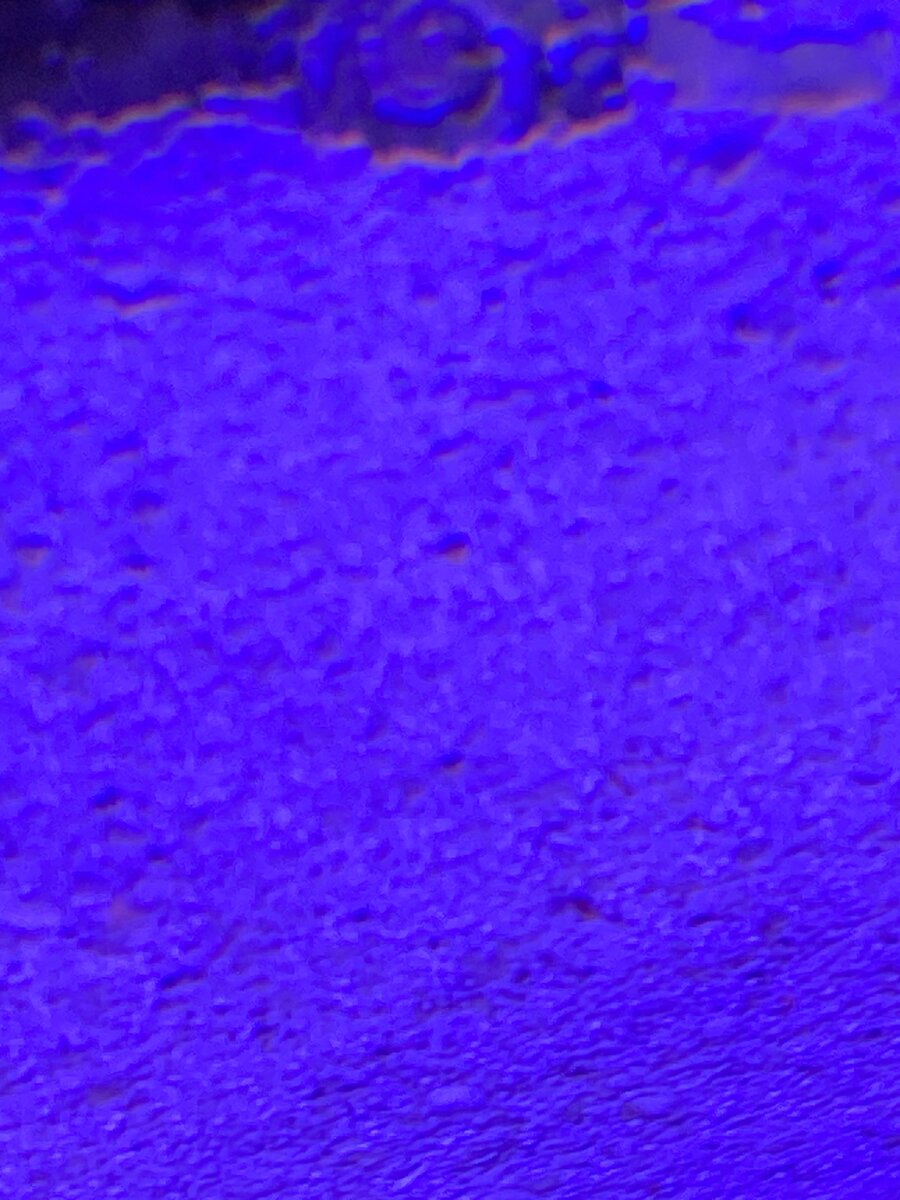 IMG_9090.jpeg
