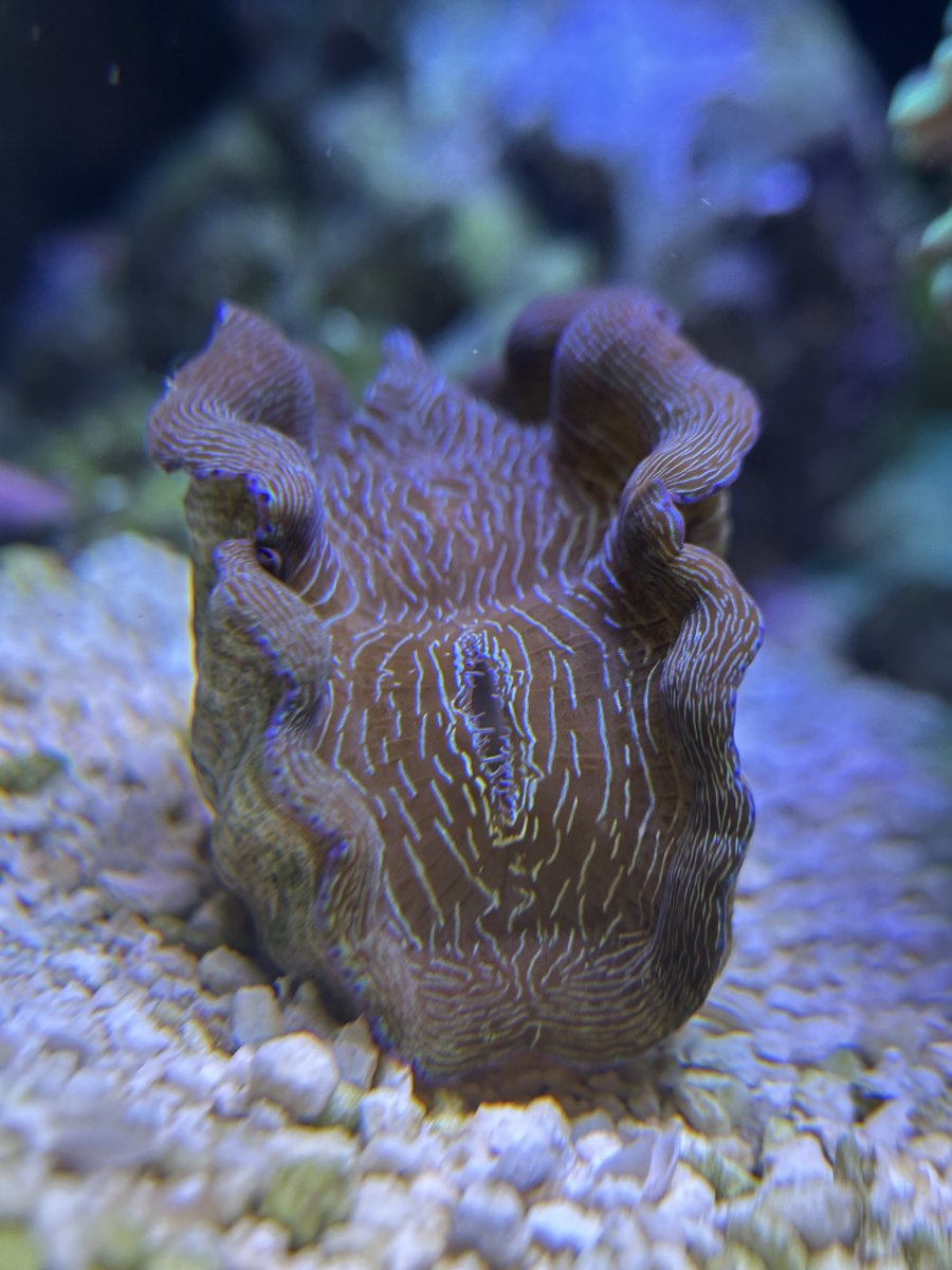 IMG_9102.jpeg