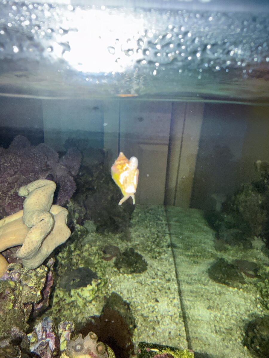 IMG_9111.jpeg