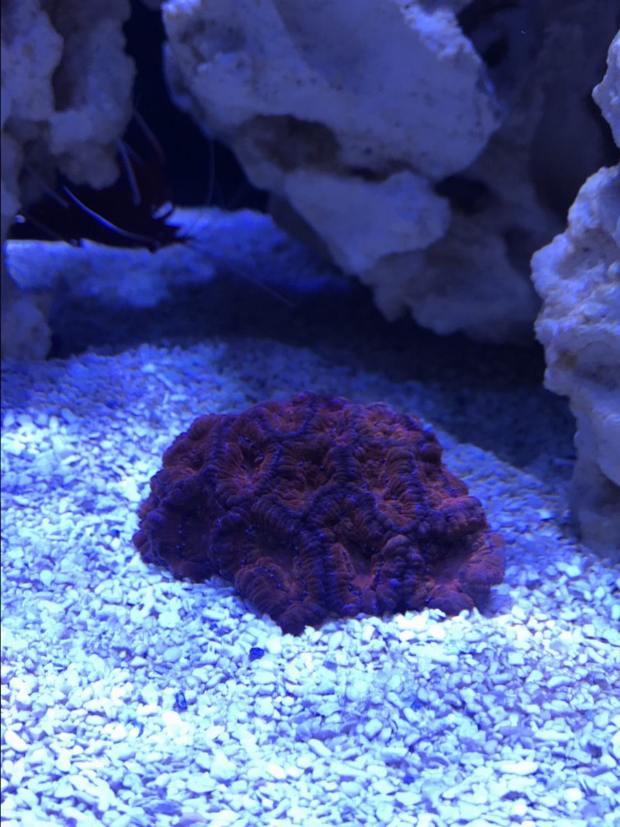 IMG_9112.jpeg