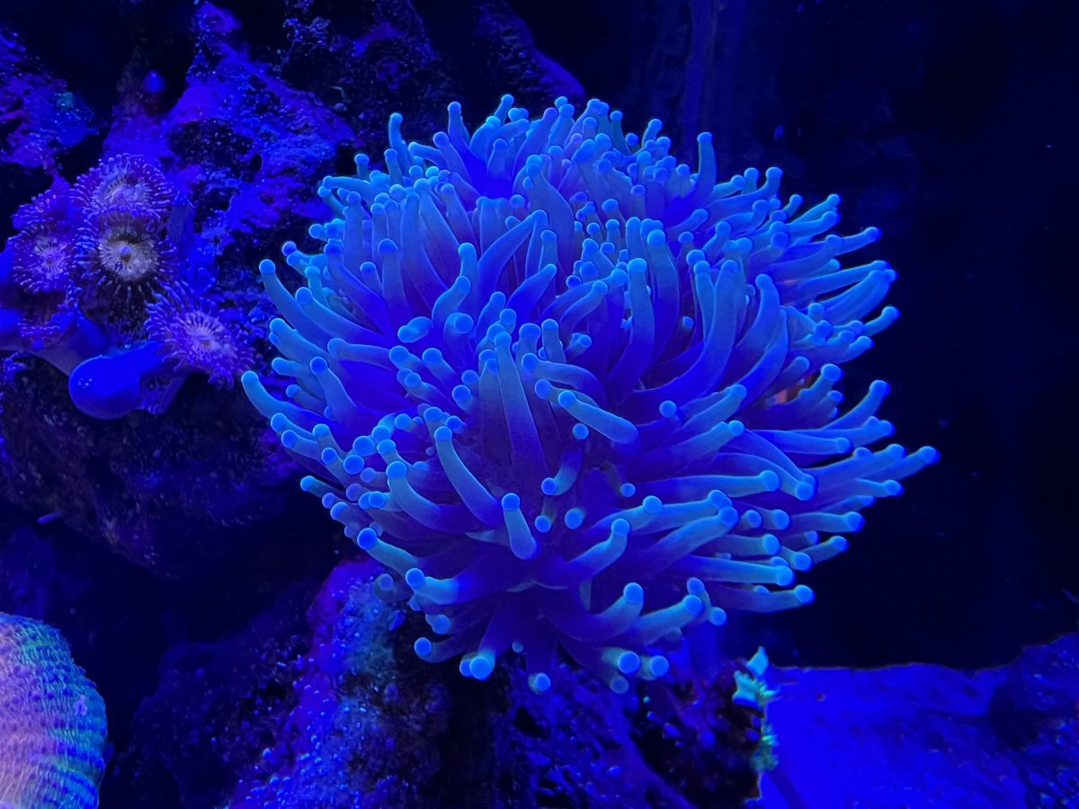 IMG_9145.jpeg