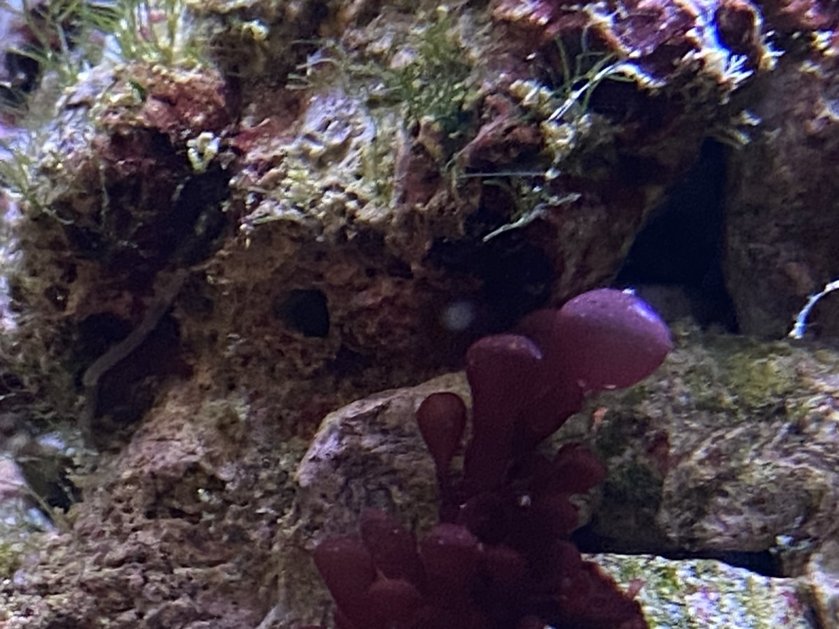 IMG_9161.jpeg
