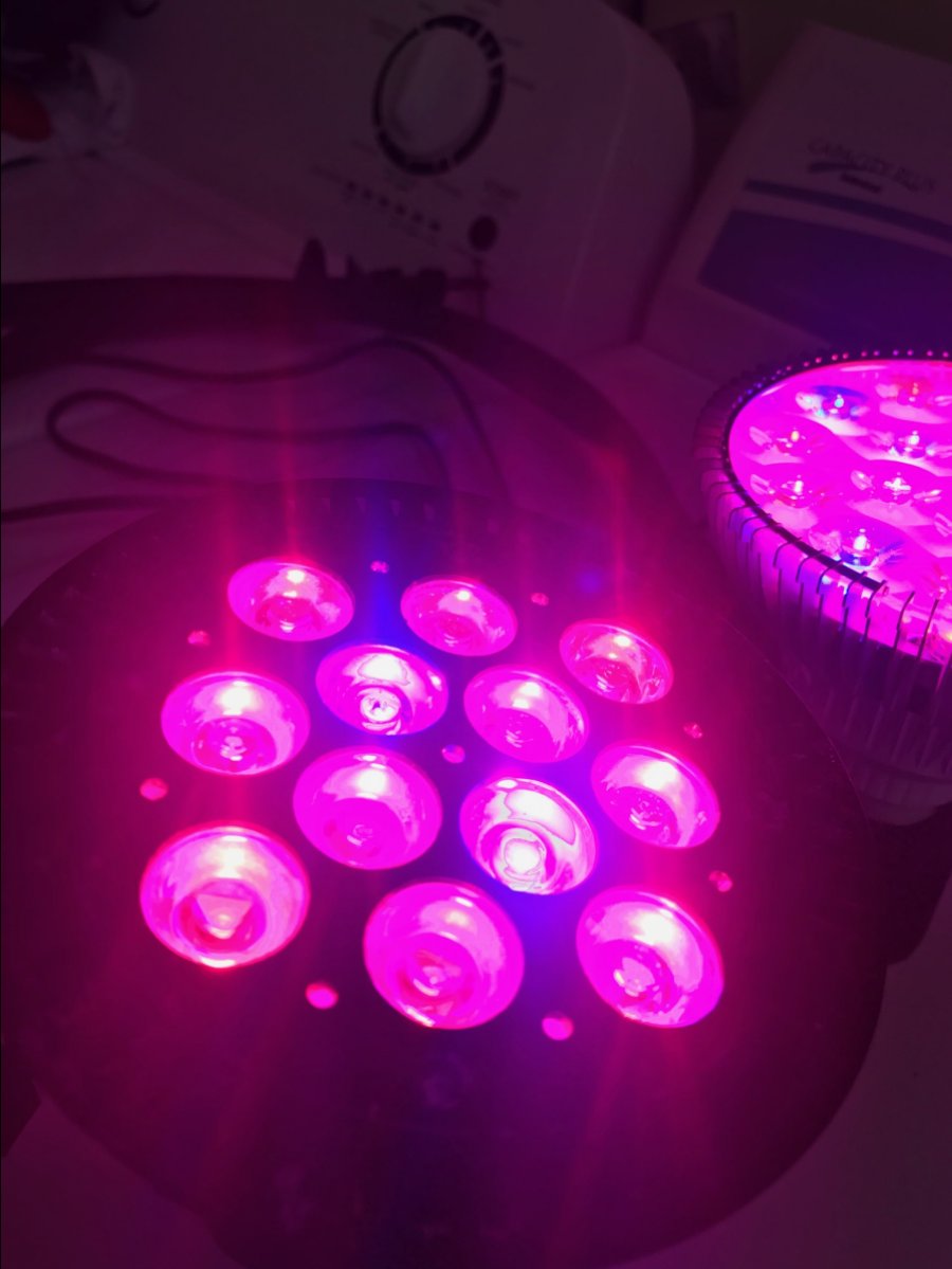 Connecticut - Gooseneck LED Refugium Light Setups | Reef2Reef
