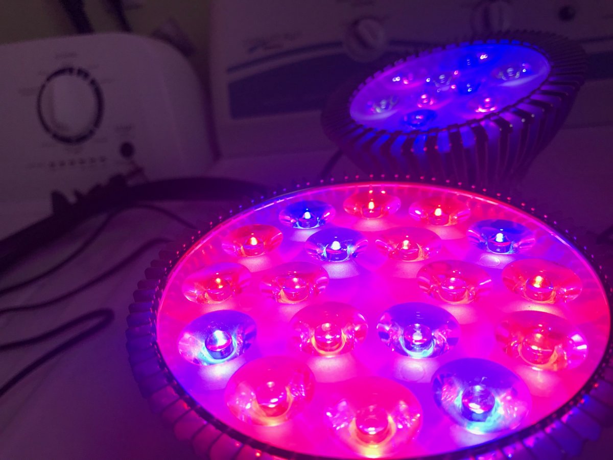 Connecticut - Gooseneck LED Refugium Light Setups | Reef2Reef