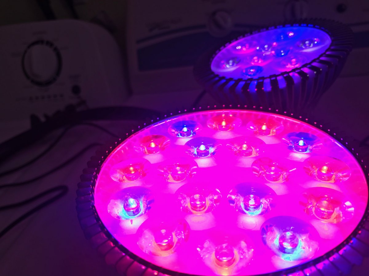 Connecticut - Gooseneck LED Refugium Light Setups | Reef2Reef