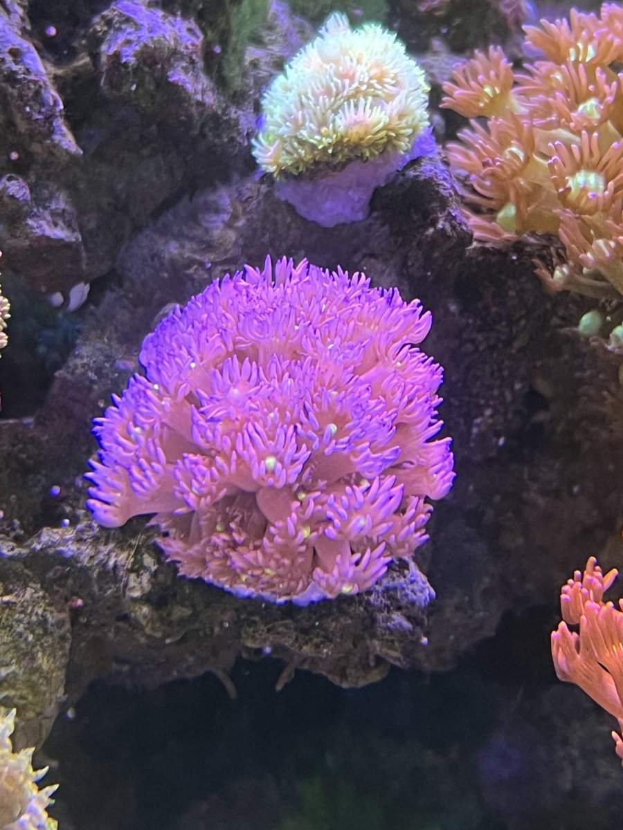 IMG_9186.jpeg