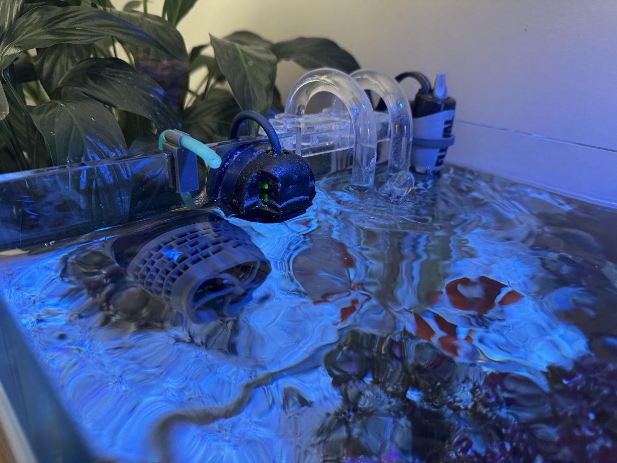 IMG_9193.jpeg