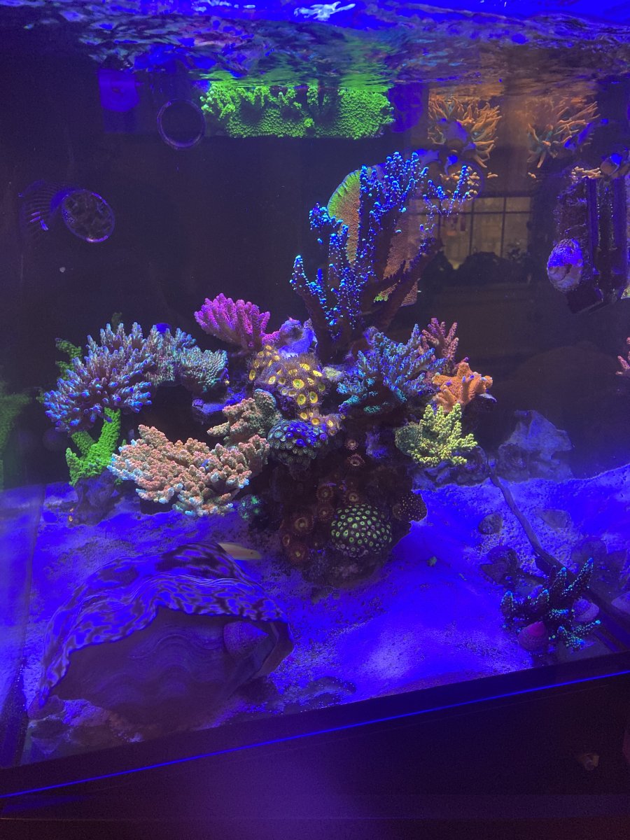 IMG_9209.jpeg