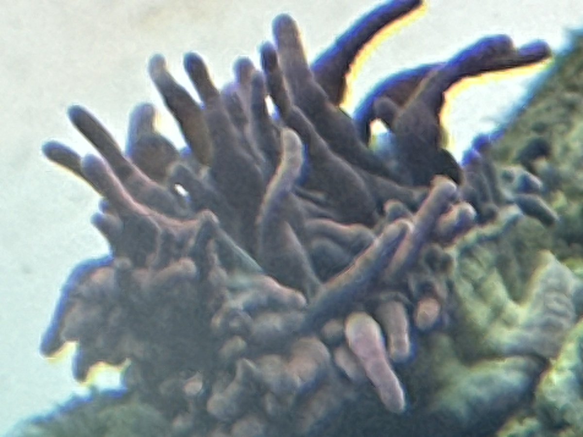IMG_9286.jpeg
