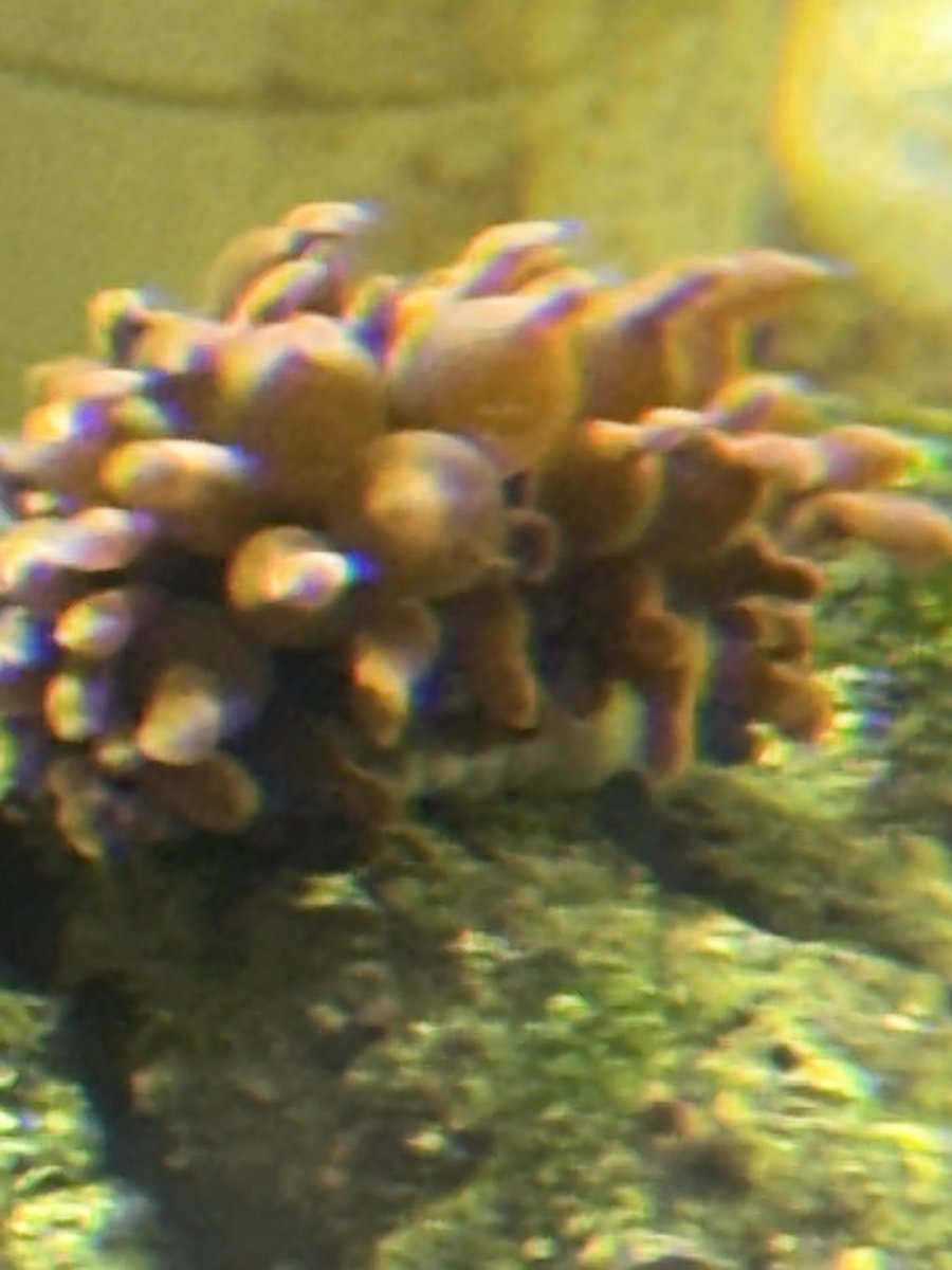 IMG_9301.jpeg