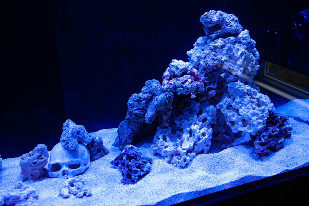 Build Thread - WB REEF 220.6 mixed reef build in tattoo studio. | Reef2Reef