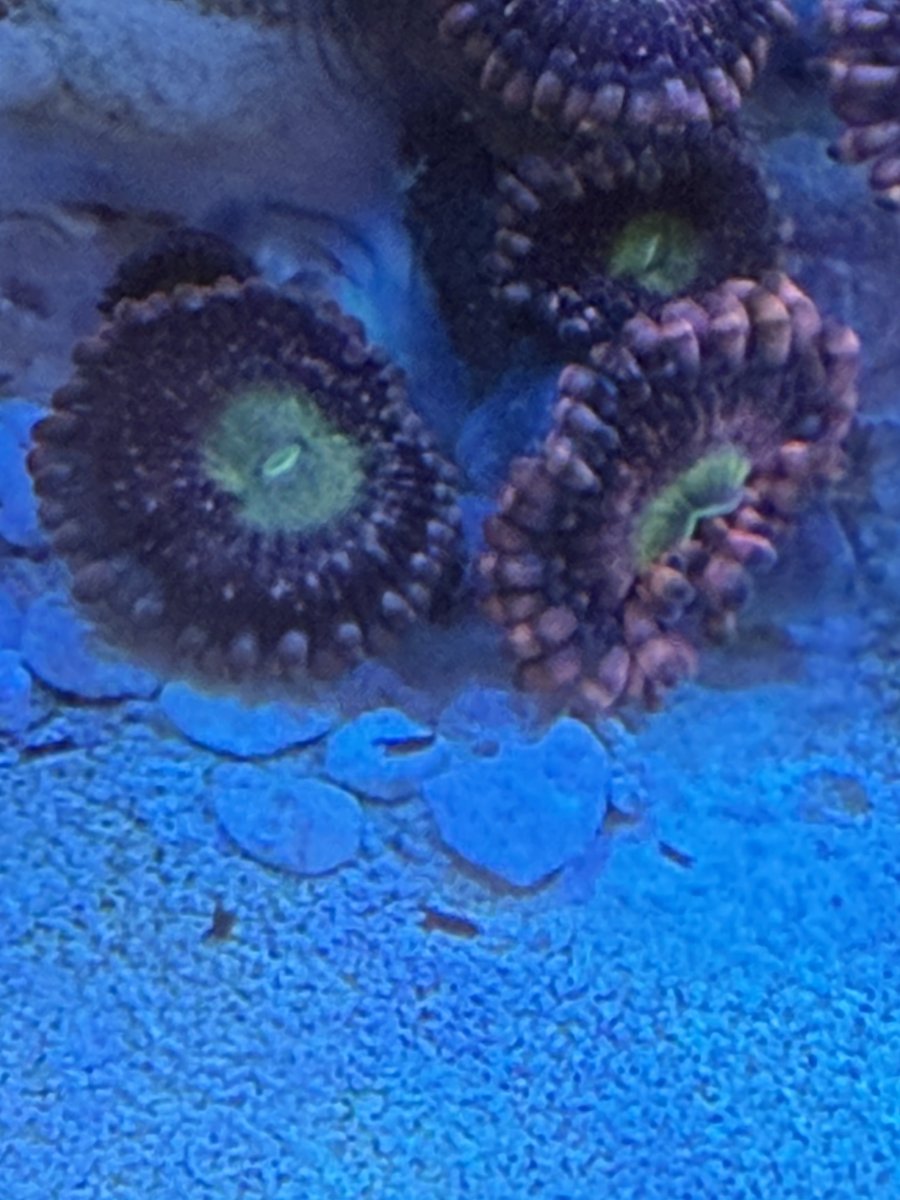 IMG_9385.jpeg
