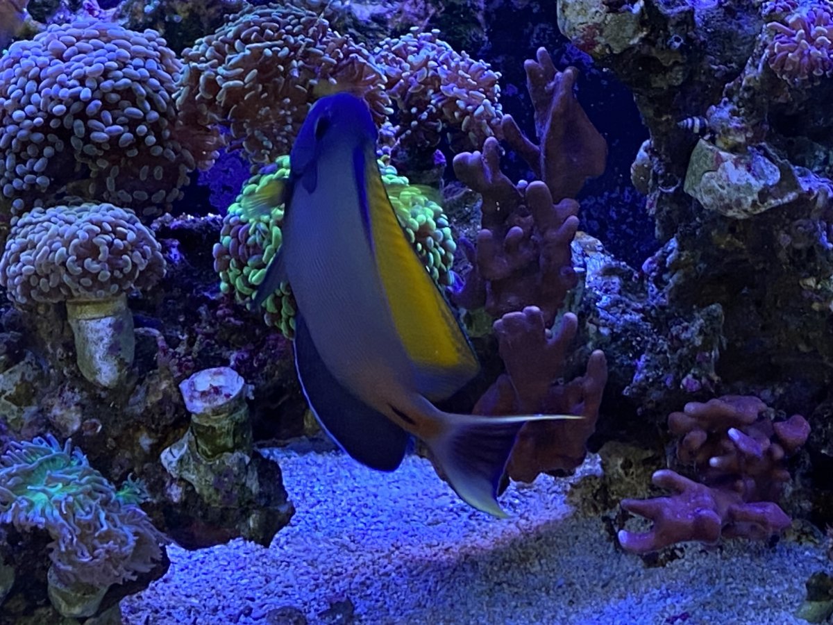 IMG_9408.jpeg