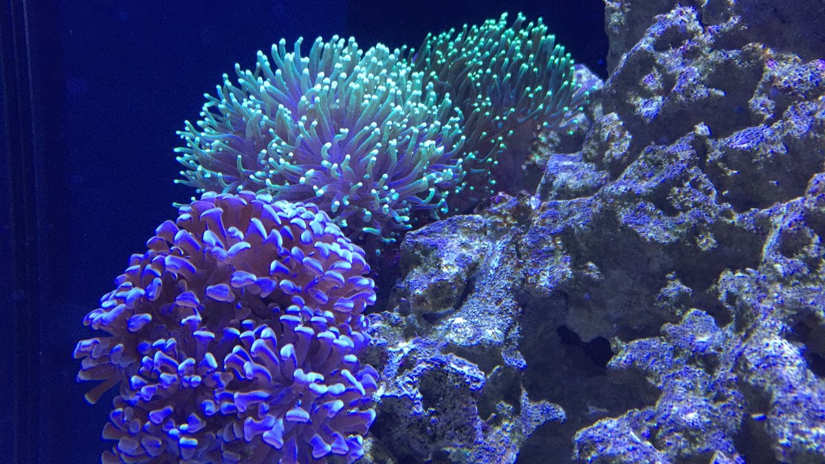 IMG_9413.JPG