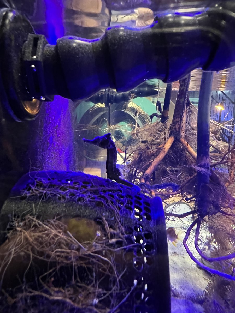 IMG_9419.jpeg