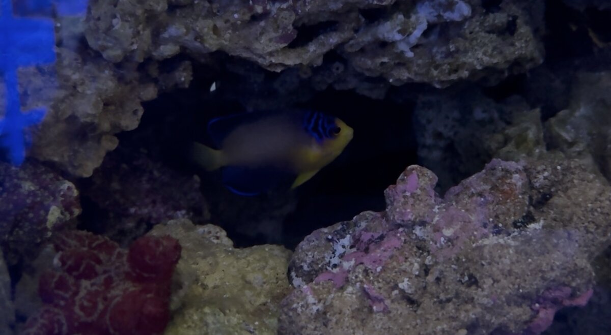 IMG_9444.jpeg