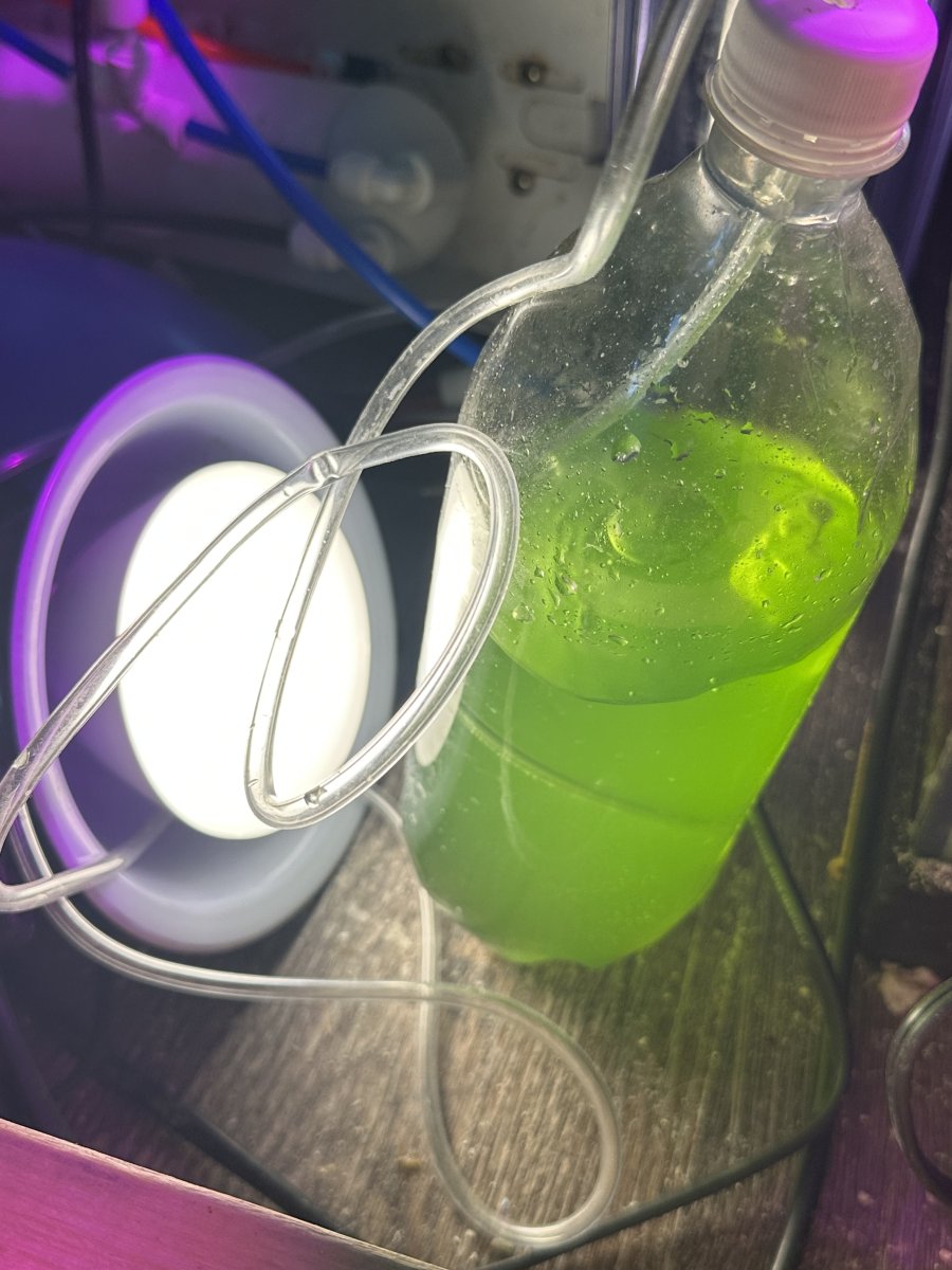 IMG_9474.jpeg