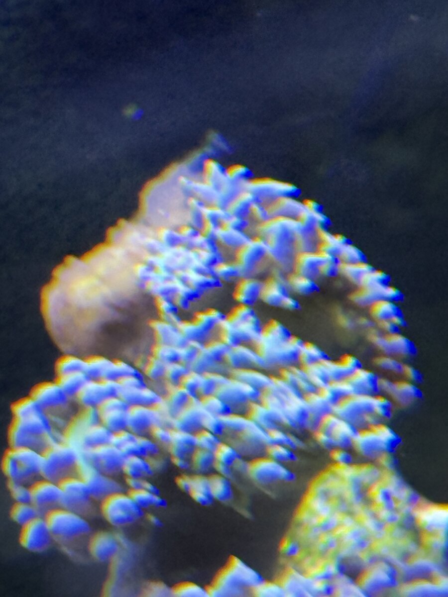 IMG_9480.jpeg
