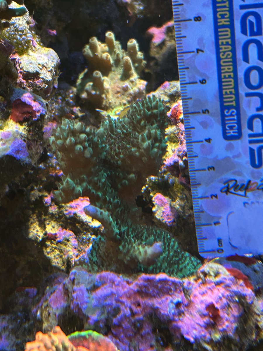 IMG_9495.jpeg