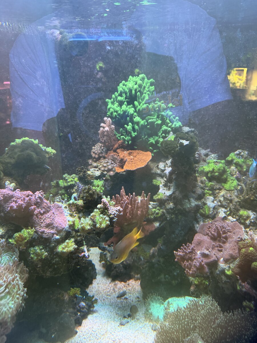 IMG_9504.jpeg