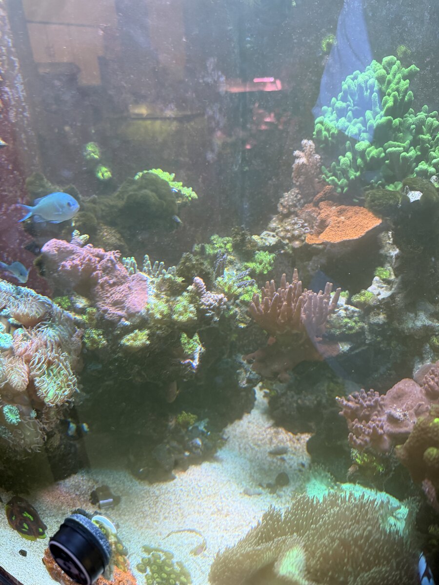 IMG_9505.jpeg