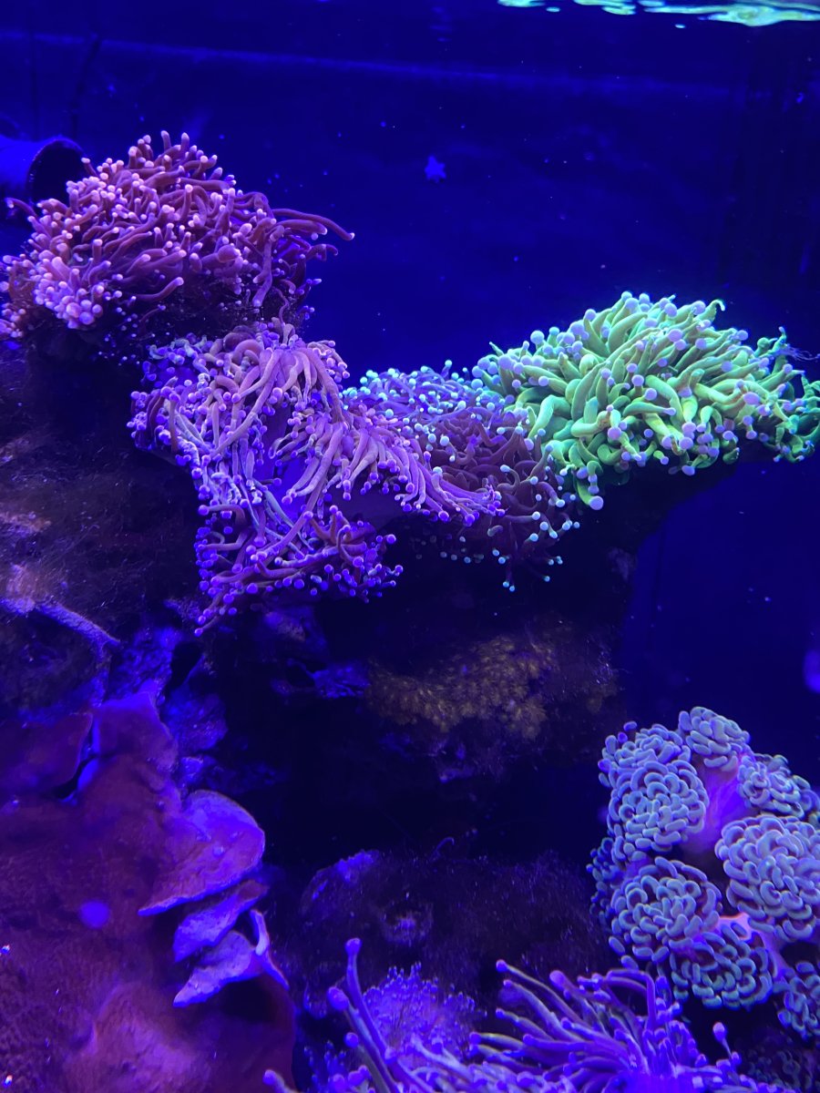 IMG_9517.jpeg