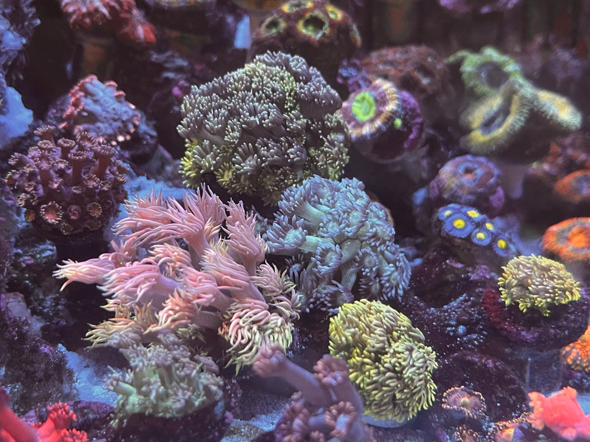 IMG_9520.jpeg