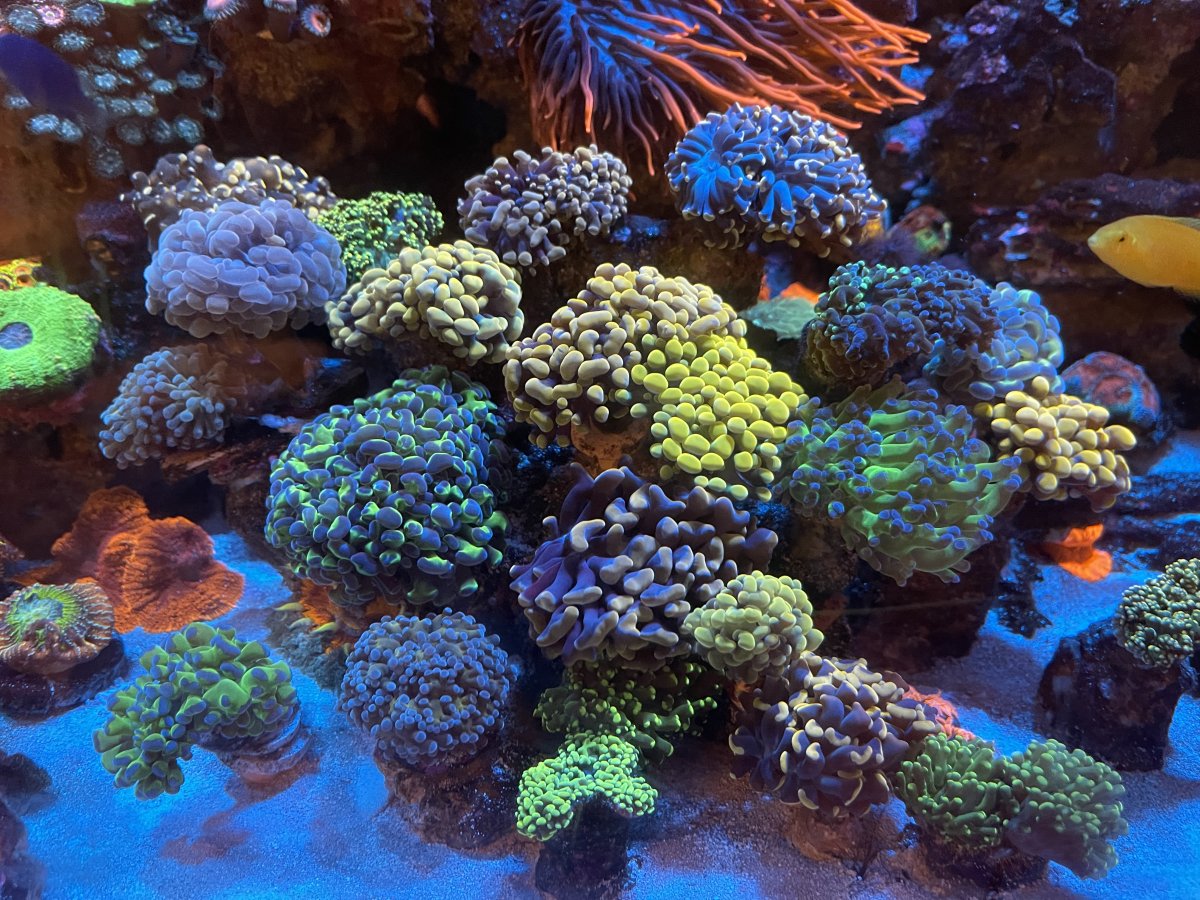 IMG_9528.jpeg