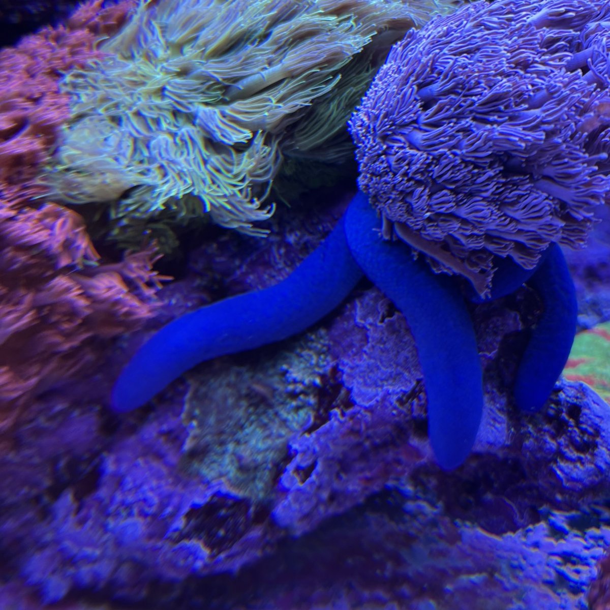 IMG_9540.jpeg