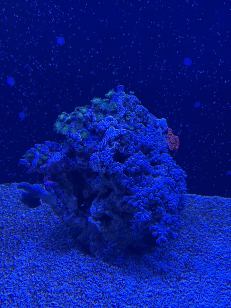 IMG_9564.jpeg