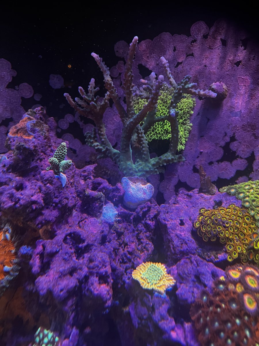 IMG_9571.jpeg