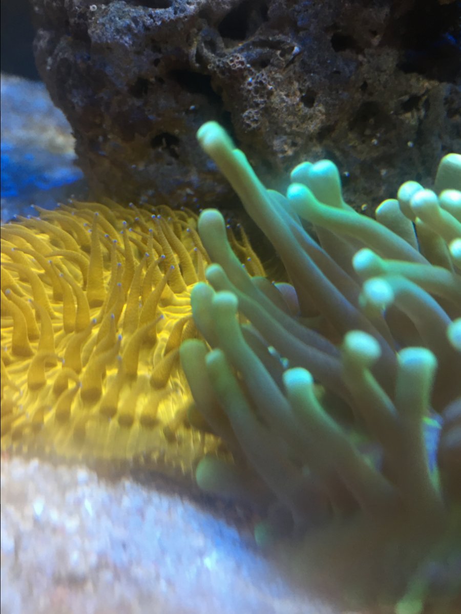 IMG_9625.JPG