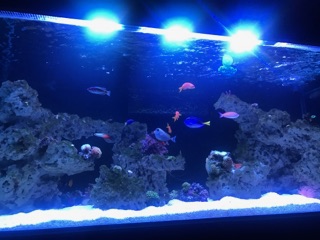 IMG_9629.jpg
