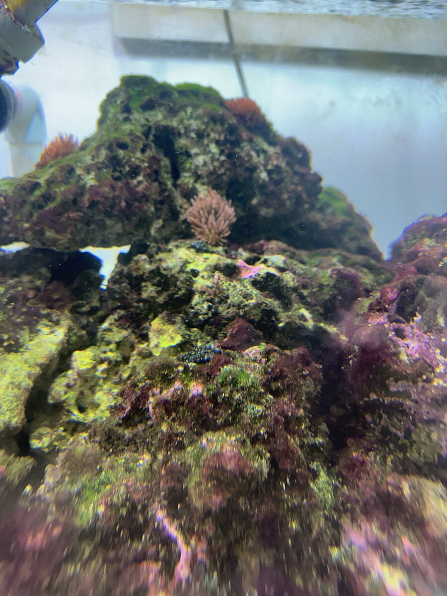 IMG_9631.jpeg
