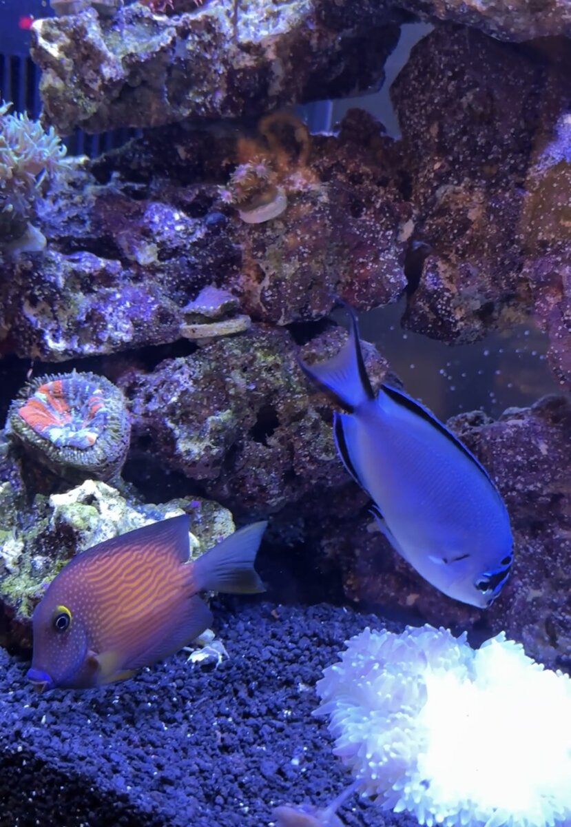 IMG_9670.jpeg