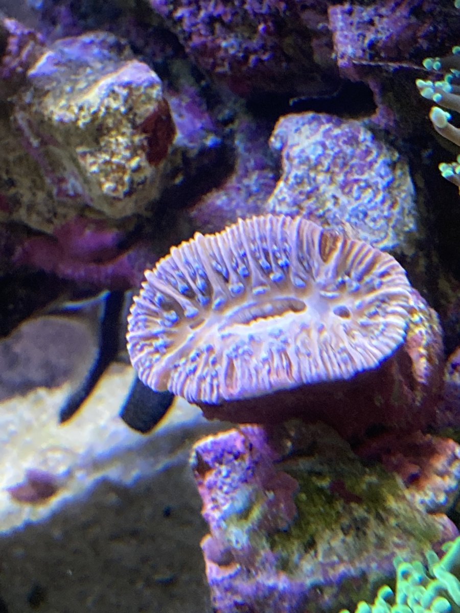 IMG_9673.jpeg