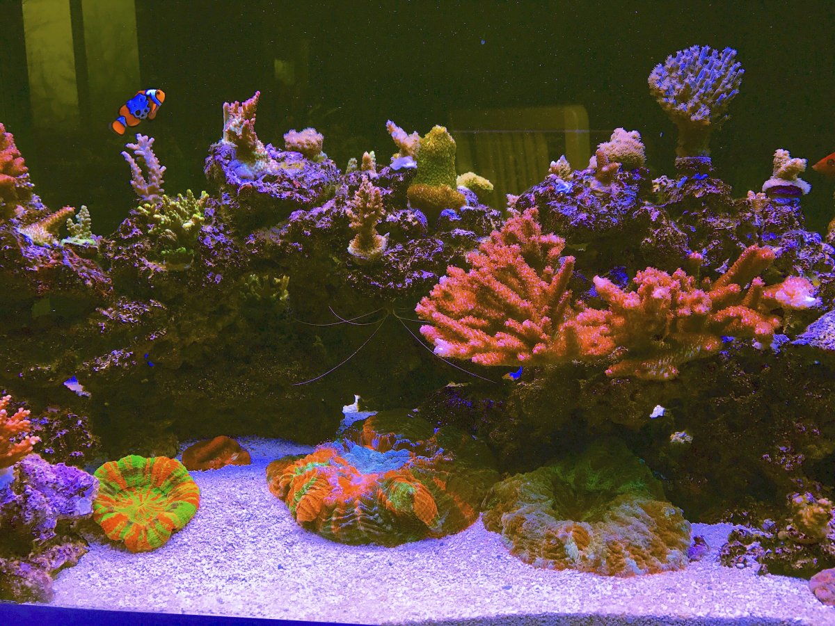 IMG_9686.JPG
