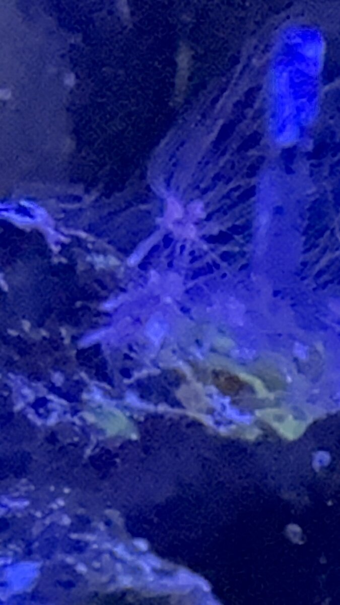 IMG_9715.jpeg