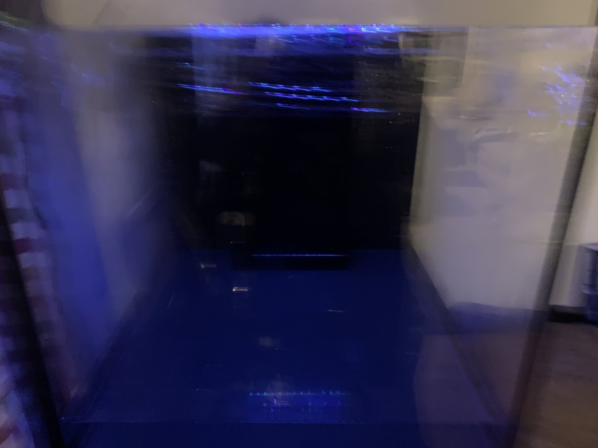 IMG_9762.jpeg
