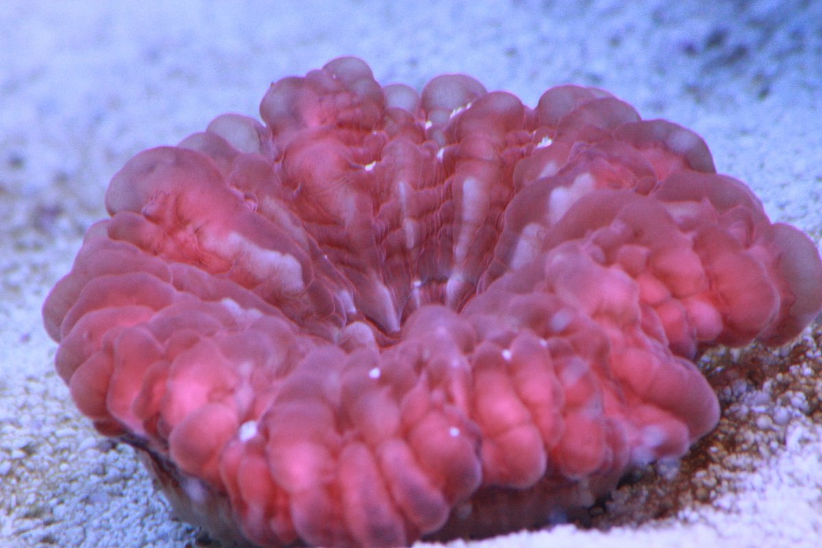 IMG_9790.jpg