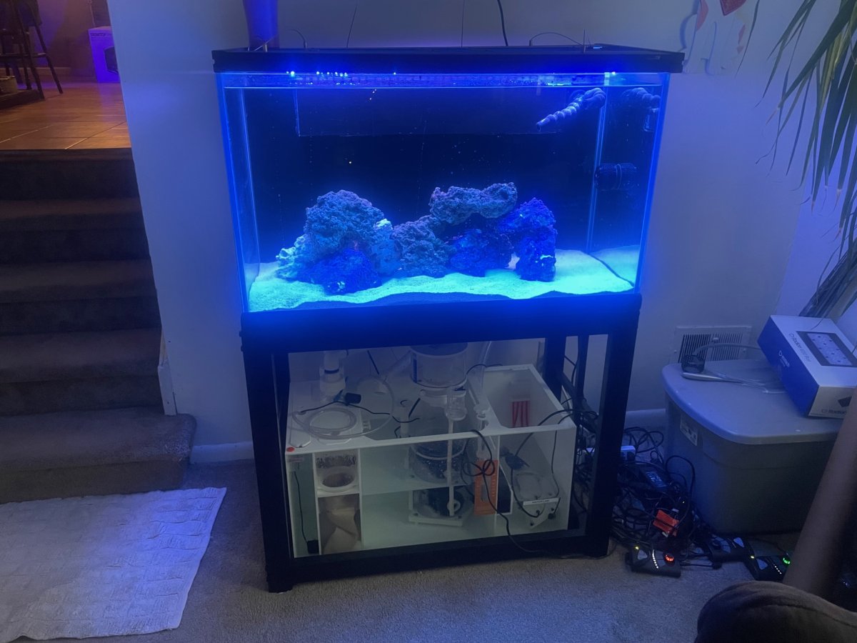 56 gallon custom tank Reef2Reef