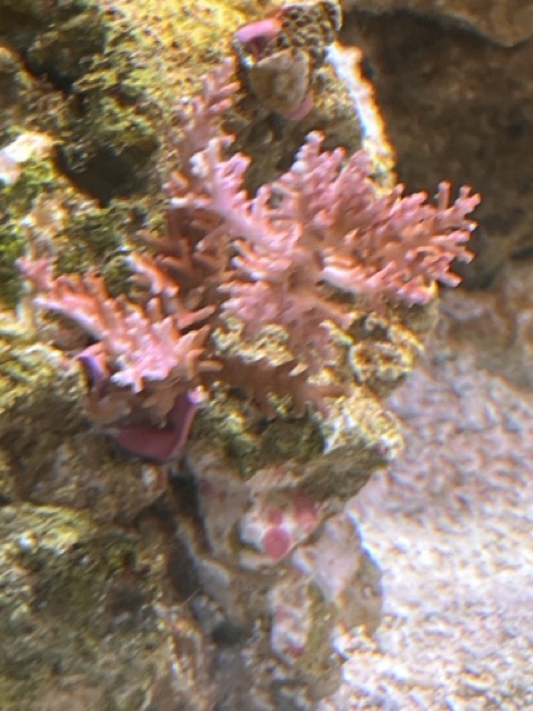 IMG_9833 Medium.jpeg