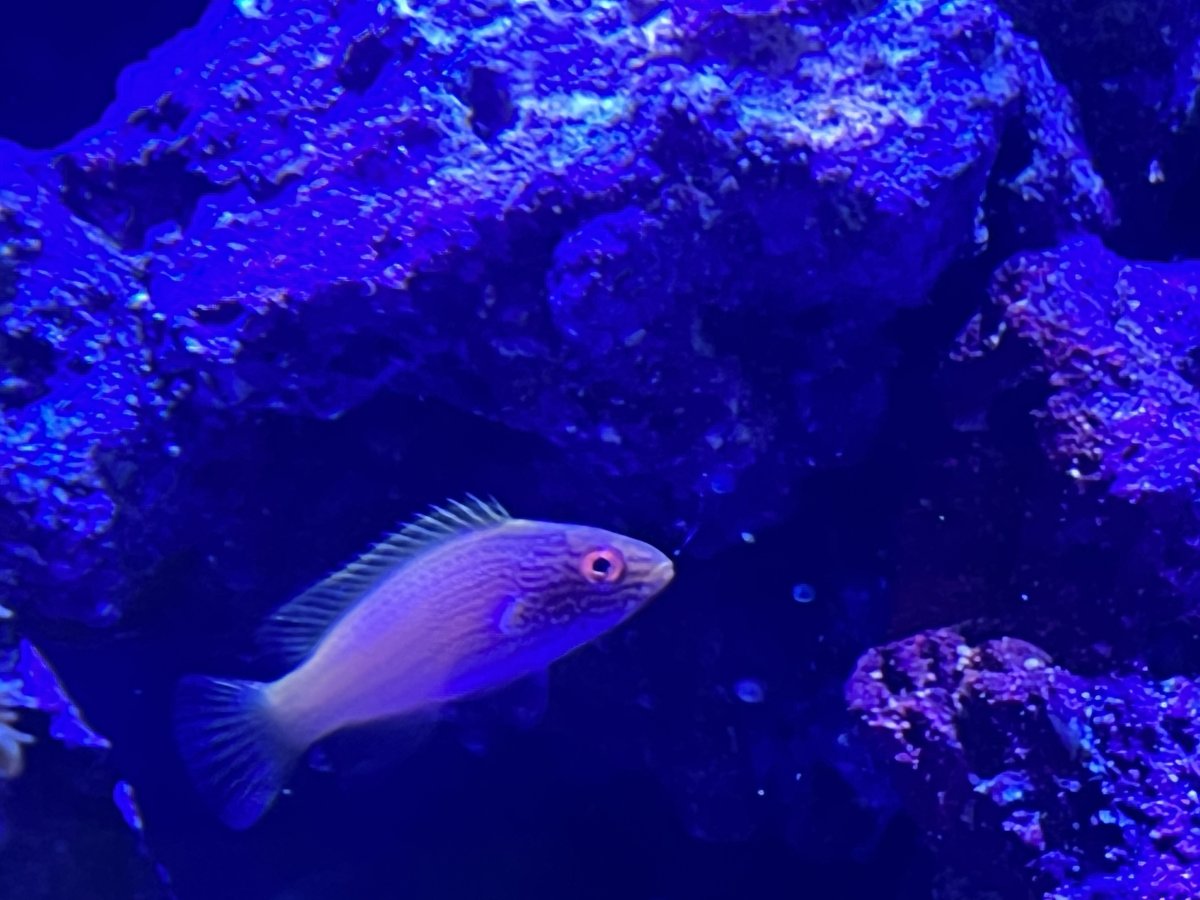 IMG_9840.jpeg