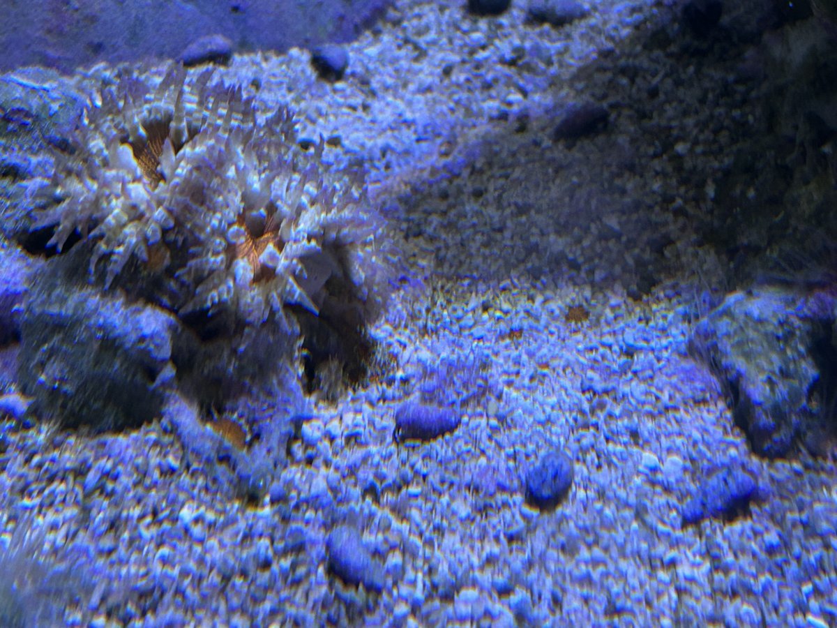 IMG_9845.jpeg