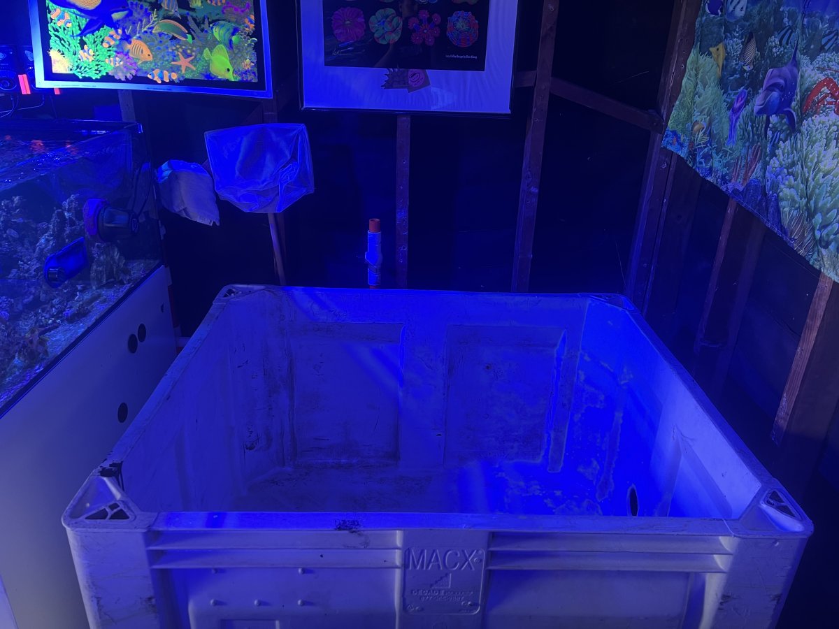 IMG_9853.jpeg