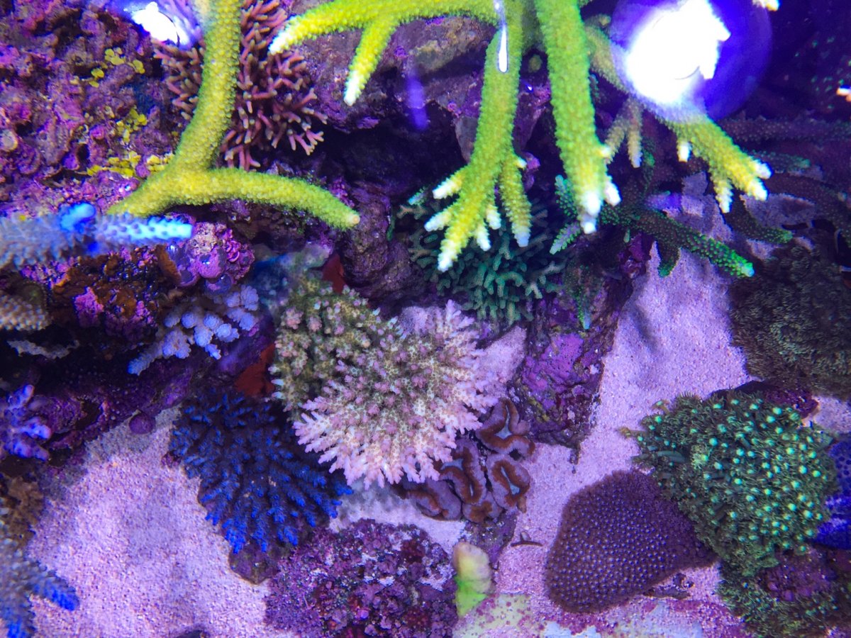 IMG_9882.jpg